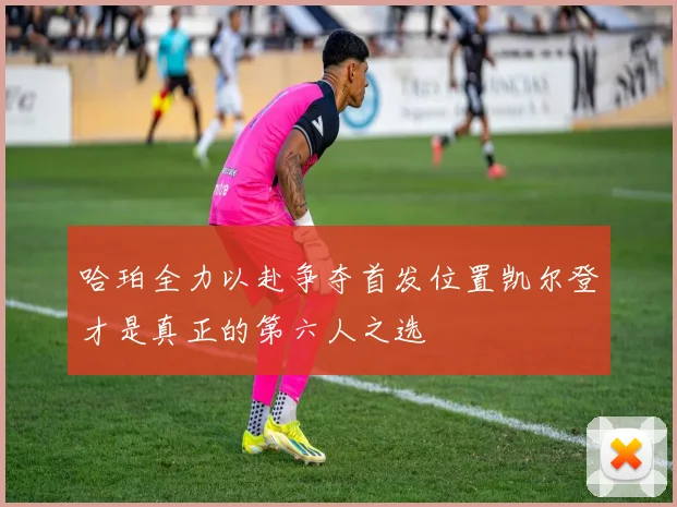 哈珀全力以赴争夺首发位置凯尔登才是真正的第六人之选