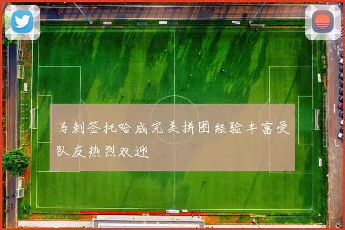 马刺签托哈成完美拼图经验丰富受队友热烈欢迎